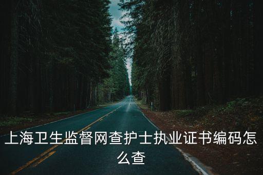 上海衛生監督網查護士執業證書編碼怎么查