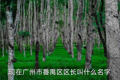 現在廣州市番禺區區長叫什么名字
