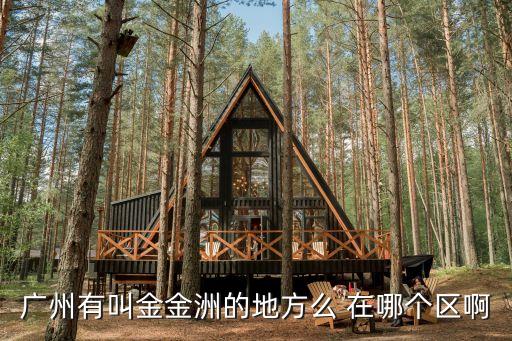 廣州有叫金金洲的地方么 在哪個(gè)區(qū)啊