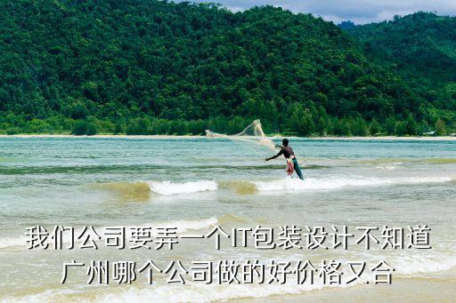 我們公司要弄一個IT包裝設計不知道廣州哪個公司做的好價格又合