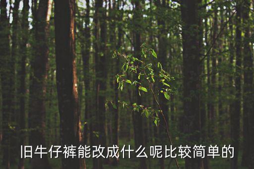 舊牛仔褲能改成什么呢比較簡(jiǎn)單的