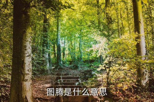 圖騰是什么意思，圖騰的意思