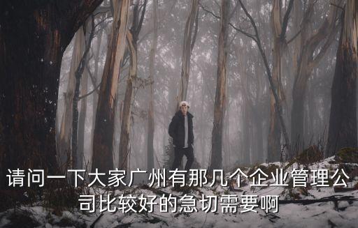 請問一下大家廣州有那幾個企業管理公司比較好的急切需要啊