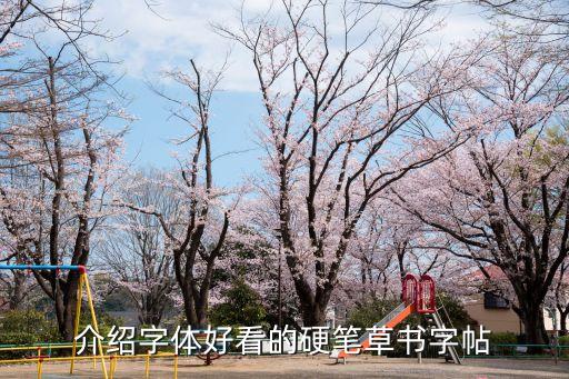 草書鋼筆字帖，誰給我推薦本草書鋼筆字帖字體要好看