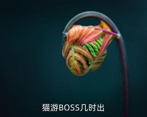 91boss混血哥廣州大戰(zhàn)，導(dǎo)演王家衛(wèi) 主演梁朝偉 宋慧喬 章子怡張震趙本山趙晨