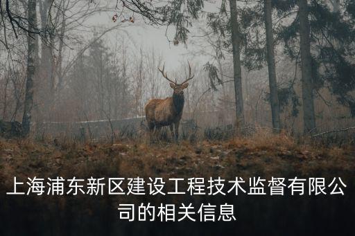 上海浦東新區建設工程技術監督有限公司的相關信息