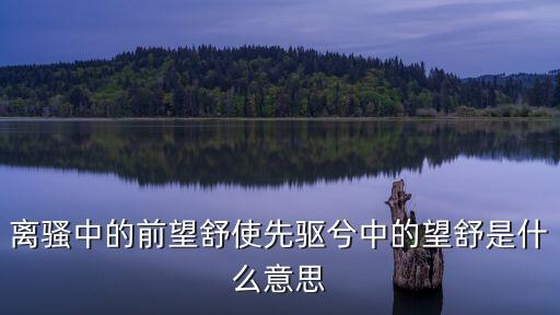 離騷中的前望舒使先驅兮中的望舒是什么意思