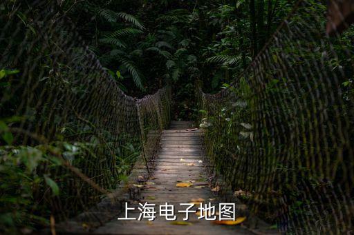 上海電子地圖