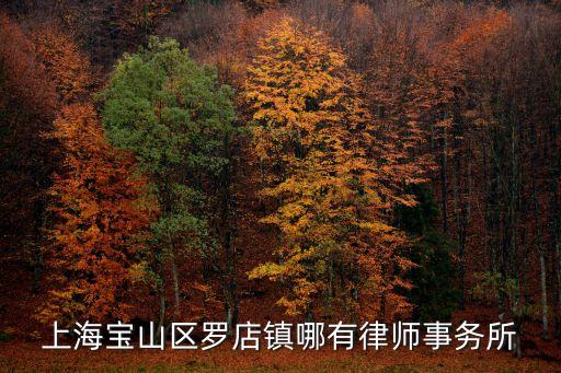 上海寶山區羅店鎮哪有律師事務所