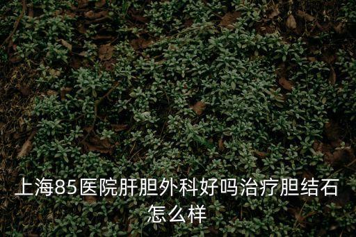 上海市肝膽外科醫院總院在哪里，上海85醫院肝膽外科好嗎治療膽結石怎么樣