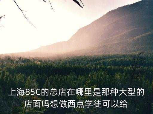 上海85C的總店在哪里是那種大型的店面嗎想做西點學徒可以給