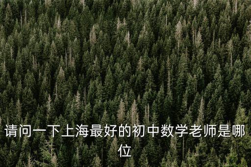 2020年上海市十佳班主任寶山區(qū)，上海市寶山路小學有哪些老師