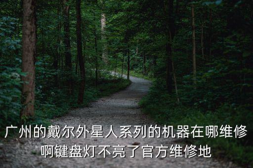 廣州外星人哪里售后，有廣州的嗎廣州有維修外星人有保障的店嗎