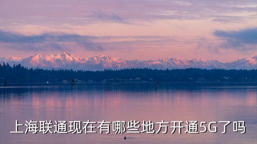 上海市新建5g基站，上海市長寧區遵義路100號虹橋上海城a座12層1215 中銀國際信用