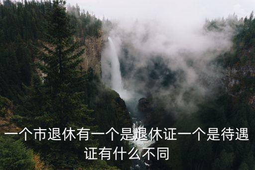 一個市退休有一個是退休證一個是待遇證有什么不同