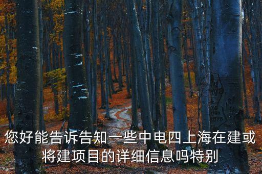 2021上海市重大建設項目清單，近幾年上海進行了哪幾個重大工程