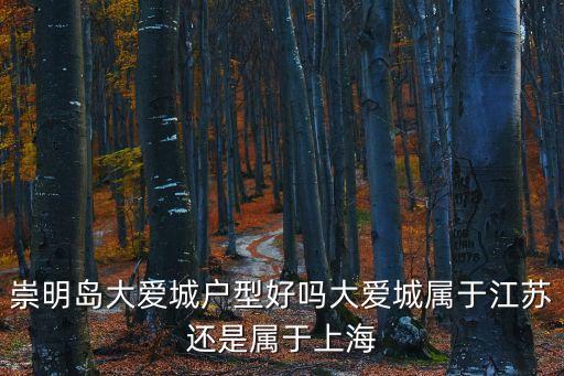 崇明島大愛城戶型好嗎大愛城屬于江蘇還是屬于上海