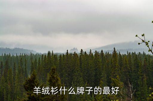 羊絨衫什么牌子的最好