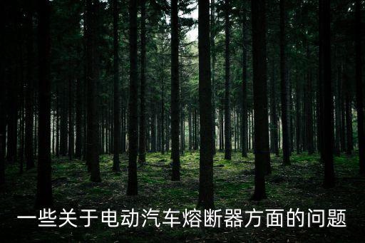一些關于電動汽車熔斷器方面的問題