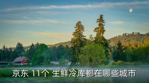 京東 11個 生鮮冷庫都在哪些城市