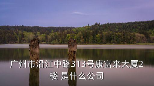 廣州子君企業(yè)有限公司，廣州市沿江中路313號康富來大廈2樓 是什么公司