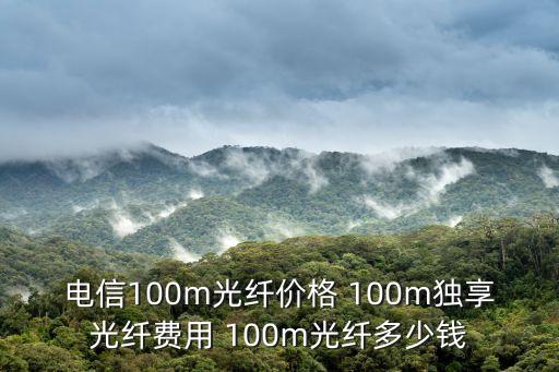 上海市電信架空線，100m獨享光纖多少錢