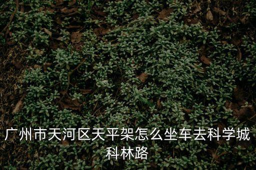 廣州市天河區(qū)天平架怎么坐車去科學(xué)城科林路