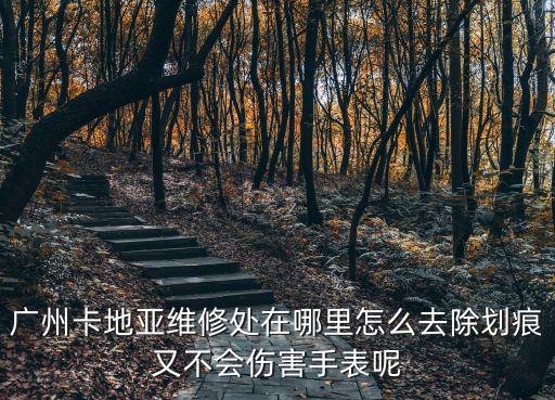 廣州卡地亞維修處在哪里怎么去除劃痕又不會傷害手表呢