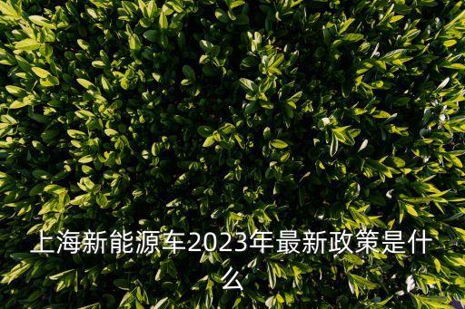 上海新能源車(chē)2023年最新政策是什么