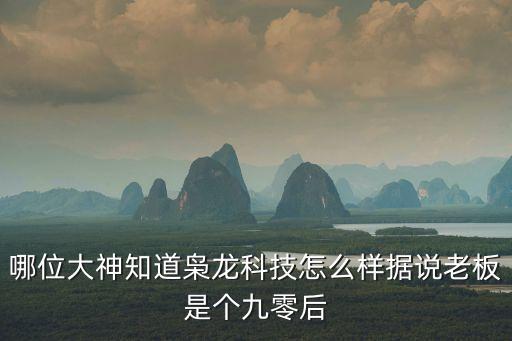 哪位大神知道梟龍科技怎么樣據說老板是個九零后
