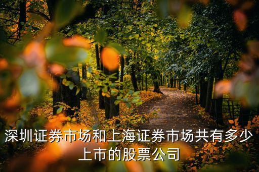 上海市智能網聯(lián)汽車發(fā)布會，VS 2010在上海的發(fā)布會地點在哪里