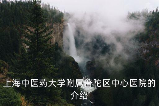 上海中醫藥大學附屬普陀區中心醫院的介紹