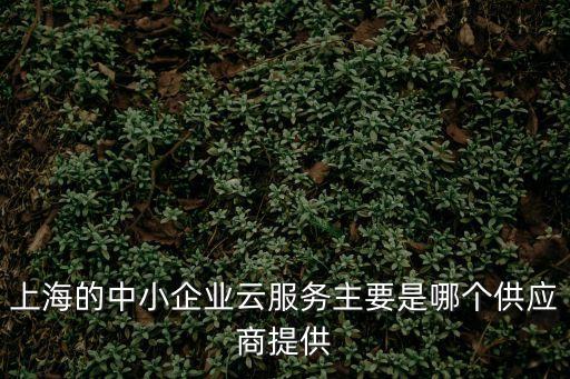上海市共享工業云，上海的中小企業云服務主要是哪個供應商提供