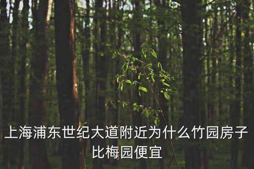 上海市浦東竹園高層，上海浦東世紀(jì)大道附近為什么竹園房子比梅園便宜