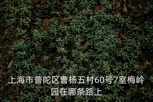 上海市普陀區曹楊五村60號7室梅嶺園在哪條路上