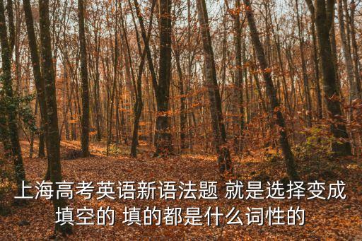 上海市語法填空考綱，語法填空