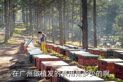 廣州植發費用新生y方位，在廣州做植發的費用是多少的啊