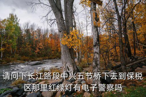 請問下長江路段中興五節橋下去到保稅區那里紅綠燈有電子警察嗎