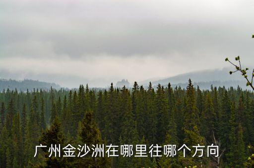 廣州金沙洲在哪里往哪個(gè)方向