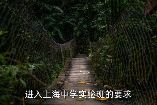 進入上海中學實驗班的要求