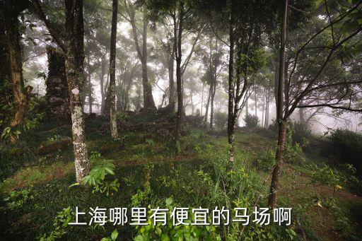 上海哪里有便宜的馬場啊