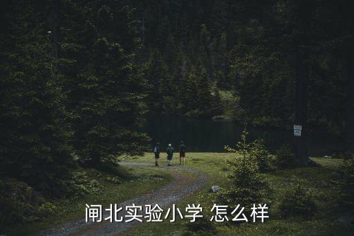 閘北實(shí)驗(yàn)小學(xué) 怎么樣