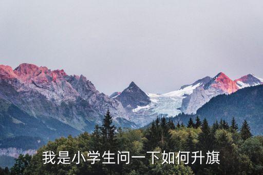 線上升旗儀式，我是小學生問一下如何升旗