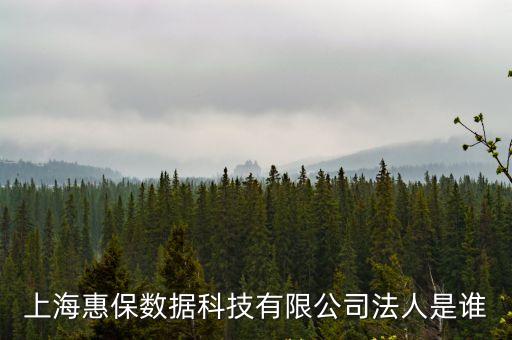 上海惠保數據科技有限公司法人是誰