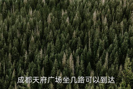 天府廣場線到廣州路，城到廣州路怎么坐公交車最快需要多久
