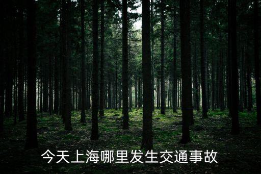 今天上海哪里發(fā)生交通事故