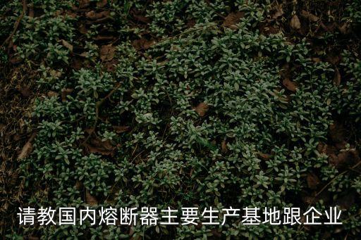 請(qǐng)教國(guó)內(nèi)熔斷器主要生產(chǎn)基地跟企業(yè)