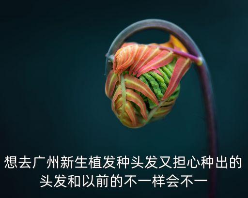 廣州植發應問新生植發y，廣州哪些醫院有植發科新生植發醫院怎么樣