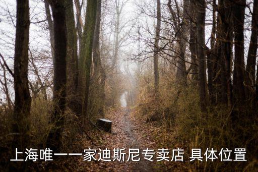 上海市麻辣撈燙迪士尼，上海迪斯尼餐飲可以用支付寶嗎