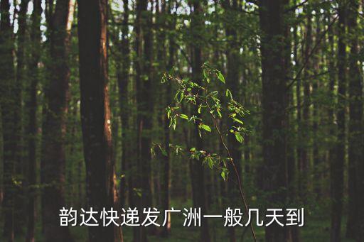 韻達快遞發廣洲一般幾天到